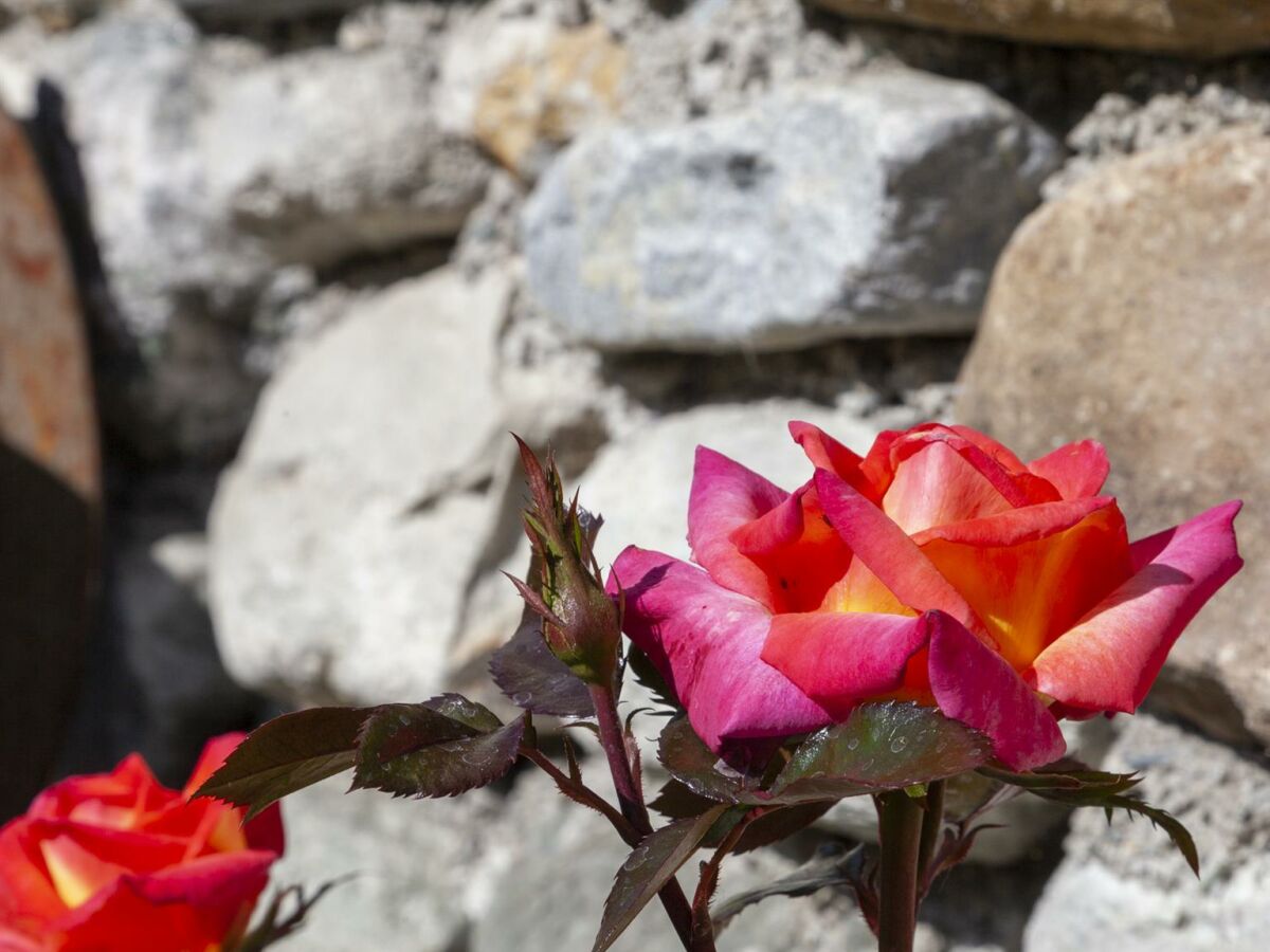 Apartment Appartement Lea - Outdoor photo 5