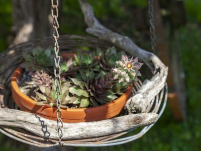 Apartment Appartement Lea - Outdoor photo 2