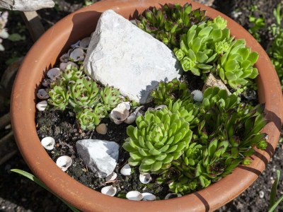 Apartment Appartement Lea - Outdoor photo 4