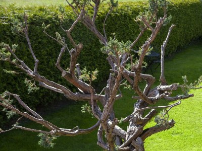 Apartment Appartement Lea - Outdoor photo 6