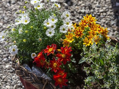 Apartment Appartement Lea - Outdoor photo 7