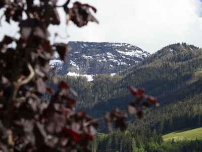 Apartment Appartement Lea - Outdoor photo 8