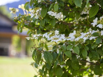 Apartment Appartement Lea - Outdoor photo 10