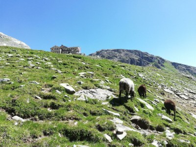 Apartment Appartement Lea - Outdoor photo 14