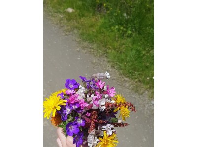 Apartment Appartement Lea - Outdoor photo 17