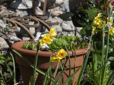 Apartment Appartement Lea - Outdoor photo 34