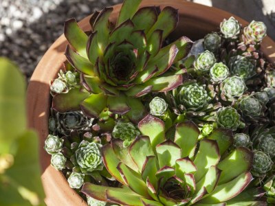 Apartment Appartement Lea - Outdoor photo 36