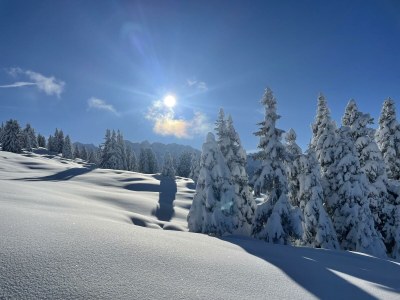 Apartment 2-Zimmer Appartement 45m² - Outdoor photo 44