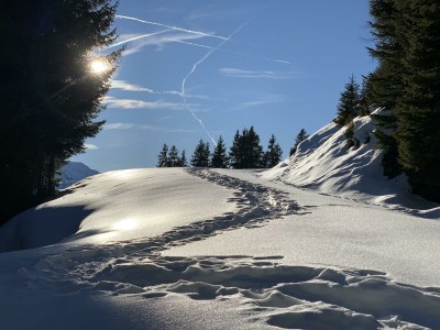 Apartment 3-Zimmer Appartement 54 m² - Outdoor photo 41