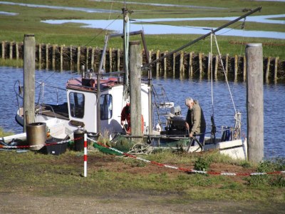Apartment Ferienwohnung, Garding - Environment photo 13
