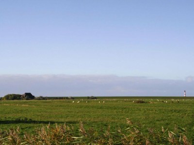 Apartment Ferienwohnung, Garding - Environment photo 14