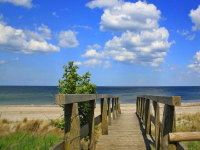 Holiday house Ferienanlage Schuldt, Behrensdorf - Environment photo 34