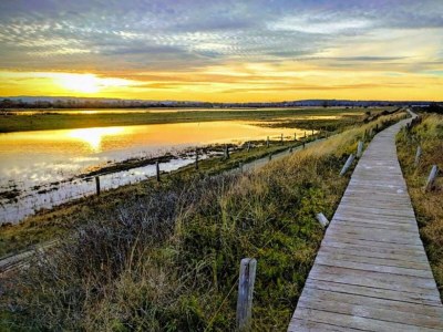 Holiday house Ferienanlage Schuldt, Behrensdorf - Environment photo 37