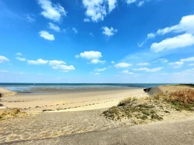 Holiday house Villa in Zeeland with Jacuzzi and Sauna - Environment photo 28