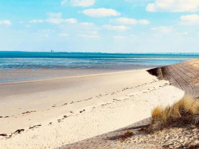 Holiday house Villa in Zeeland with Jacuzzi and Sauna - Environment photo 29