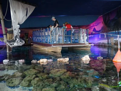 Holiday house Meadow view - Environment photo 26