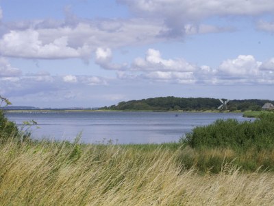 Bungalow L. Becke - Environment photo 23