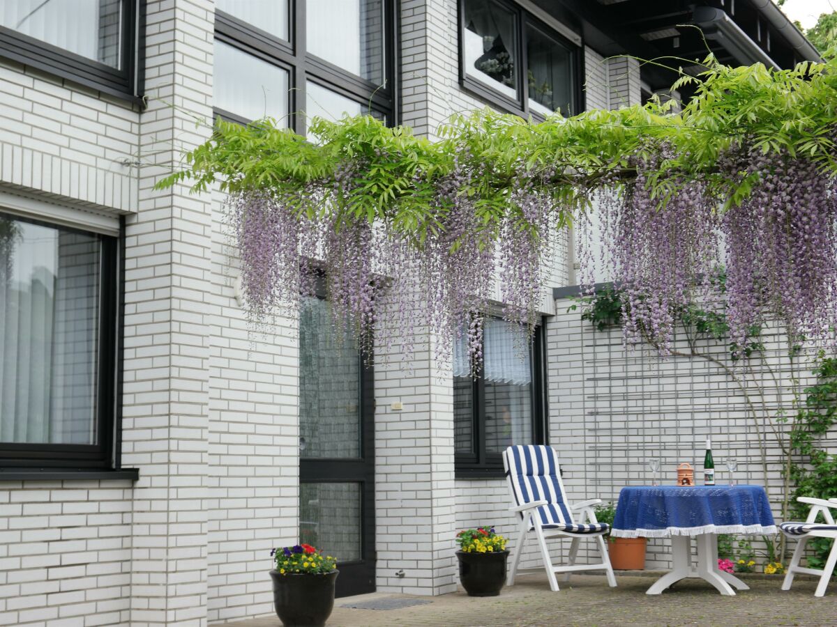 Apartment Ferienwohnung Claudia Grasnick - Outdoor photo 5