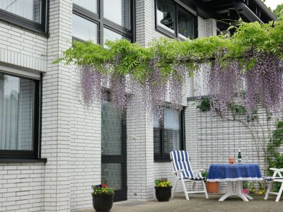 Apartment Ferienwohnung Claudia Grasnick - Outdoor photo 5