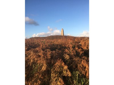 Holiday house Strandhütte - Environment photo 13