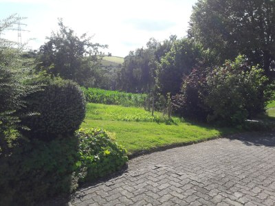 Apartment Modern Apartment in Sellinghausen with Terrace - Outdoor photo 2