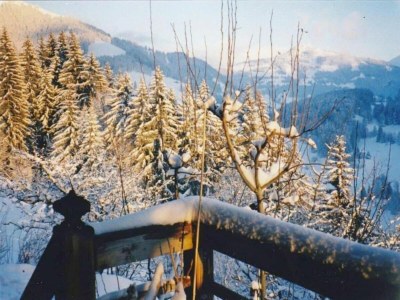 Apartment Modern Apartment in Sellinghausen with Terrace - Environment photo 27