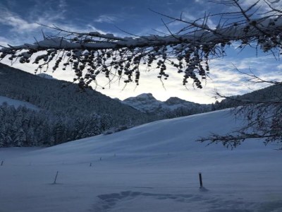Apartment Modern Apartment in Sellinghausen with Terrace - Environment photo 37