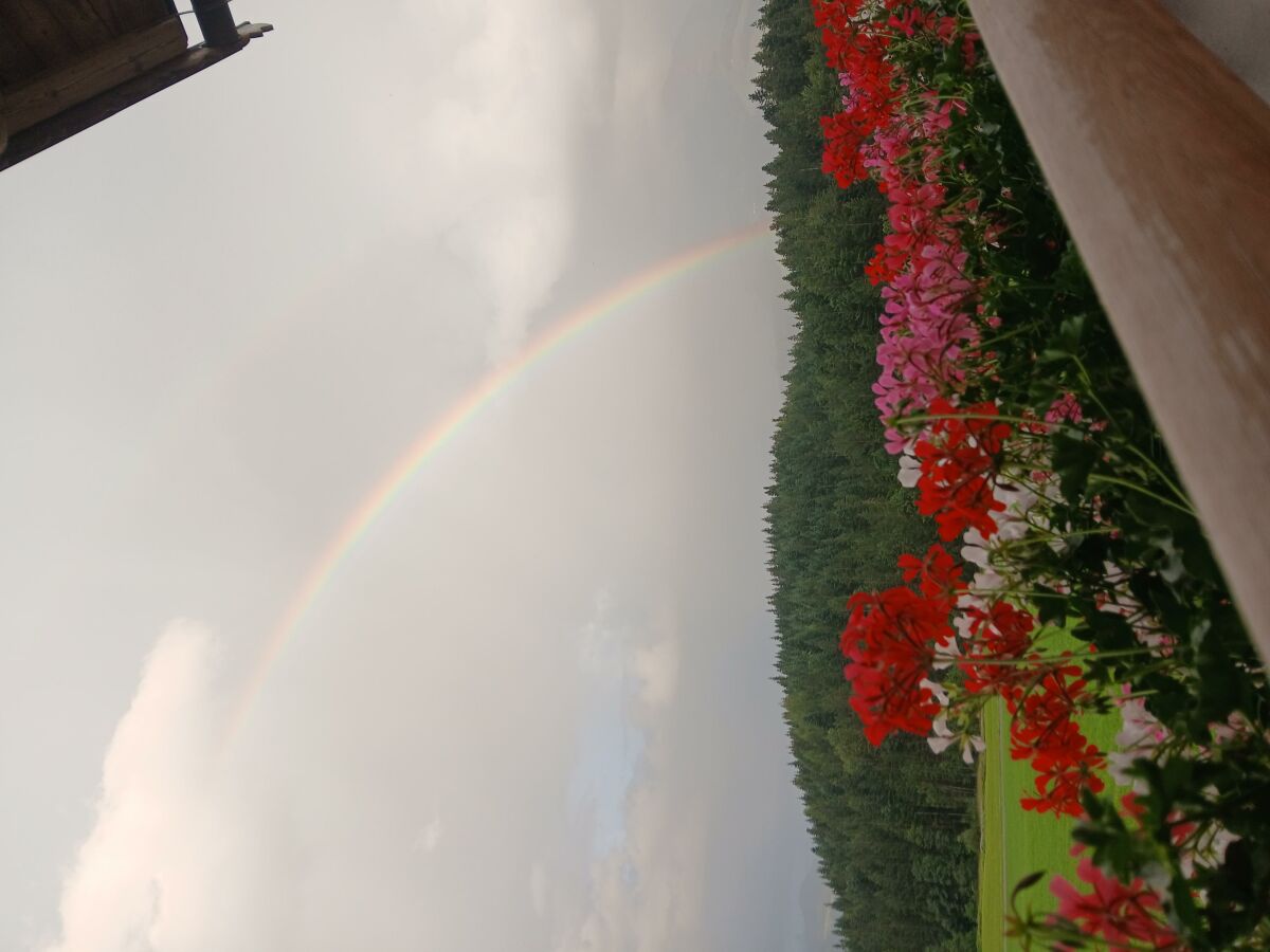 Apartment Ferienwohnung Bergidylle mit zwei Schlafzimmern - Outdoor photo 3