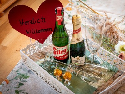 Apartment Ferienwohnung Hornblick mit einem Schlafzimmer - Outdoor photo 11