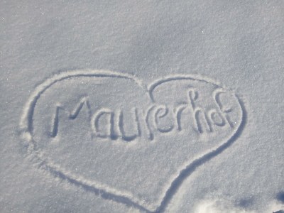 Apartment Ferienwohnung Hornblick mit einem Schlafzimmer - Outdoor photo 22