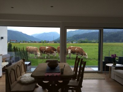 Apartment Appartement/Fewo, Dusche und Bad, WC, 1 Schlafraum - Outdoor photo 16