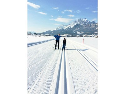 Apartment Appartement/Fewo, Dusche und Bad, WC, 1 Schlafraum - Features photo 34