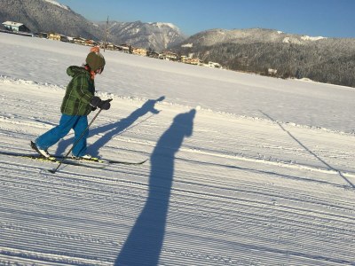 Apartment Appartement/Fewo, Dusche und Bad, WC, 1 Schlafraum - Features photo 38