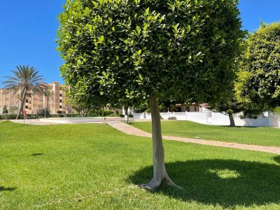 Holiday house Ferienhaus Costa Tropical am Strand - Outdoor photo 10