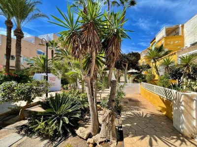 Holiday house Golf & Beachside Getaway - Outdoor photo 11