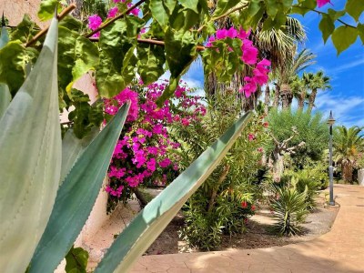 Holiday house Golf & Beachside Getaway - Outdoor photo 18