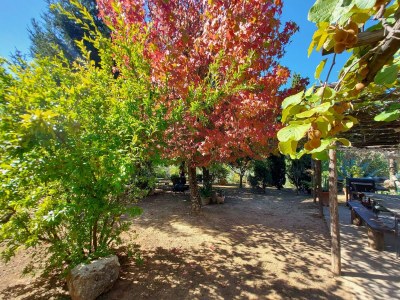 Holiday house Ferienhaus in der Toskana bei Lucca - Outdoor photo 6