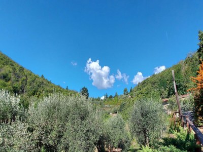 Holiday house Ferienhaus in der Toskana bei Lucca - Outdoor photo 7