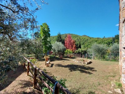 Holiday house Ferienhaus in der Toskana bei Lucca - Outdoor photo 9