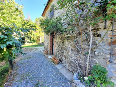 Holiday house Ferienhaus in der Toskana bei Lucca - Outdoor photo 10