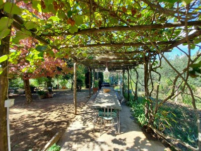Holiday house Ferienhaus in der Toskana bei Lucca - Outdoor photo 13
