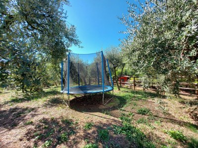 Holiday house Ferienhaus in der Toskana bei Lucca - Outdoor photo 36