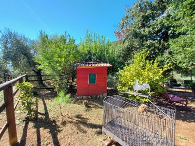 Holiday house Ferienhaus in der Toskana bei Lucca - Outdoor photo 40
