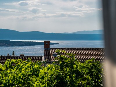 Holiday house Ivana - Environment photo 39