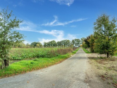 Holiday house Holiday Home in Silvolde with Hot Tub - Environment photo 33