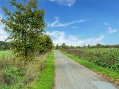 Holiday house Holiday Home in Silvolde with Hot Tub - Environment photo 35