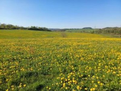 Apartment Wohnung in Frankenberg für Radfahrer mit WollBox - Environment photo 28