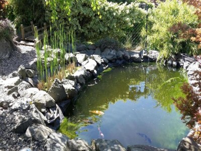 Apartment Wohnung in Frankenberg für Radfahrer mit WollBox - Environment photo 29