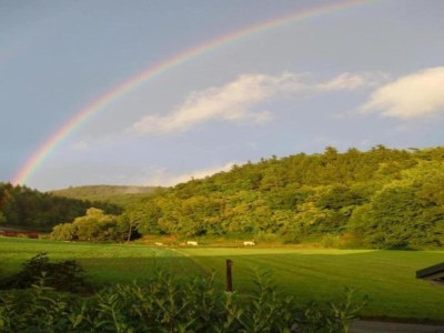Apartment Wohnung in Frankenberg für Radfahrer mit WollBox - Environment photo 32