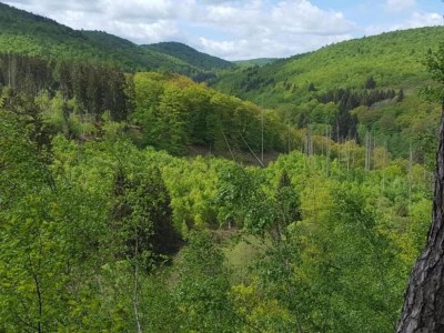 Apartment Wohnung in Frankenberg für Radfahrer mit WollBox - Environment photo 34